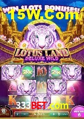 Recursos de Bônus 333bet.com